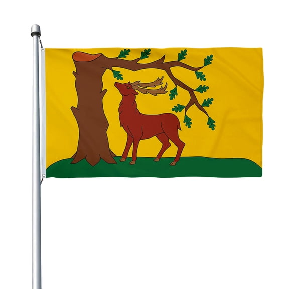 Aihccy Berkshire New Flag with Brass Grommets Size - 3x5Ft