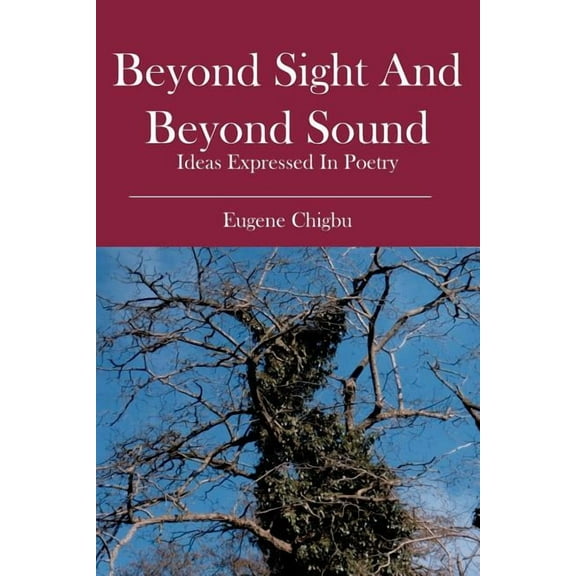 Beyond Sight and Beyond Sound: ideas expressed in poetry (Paperback)