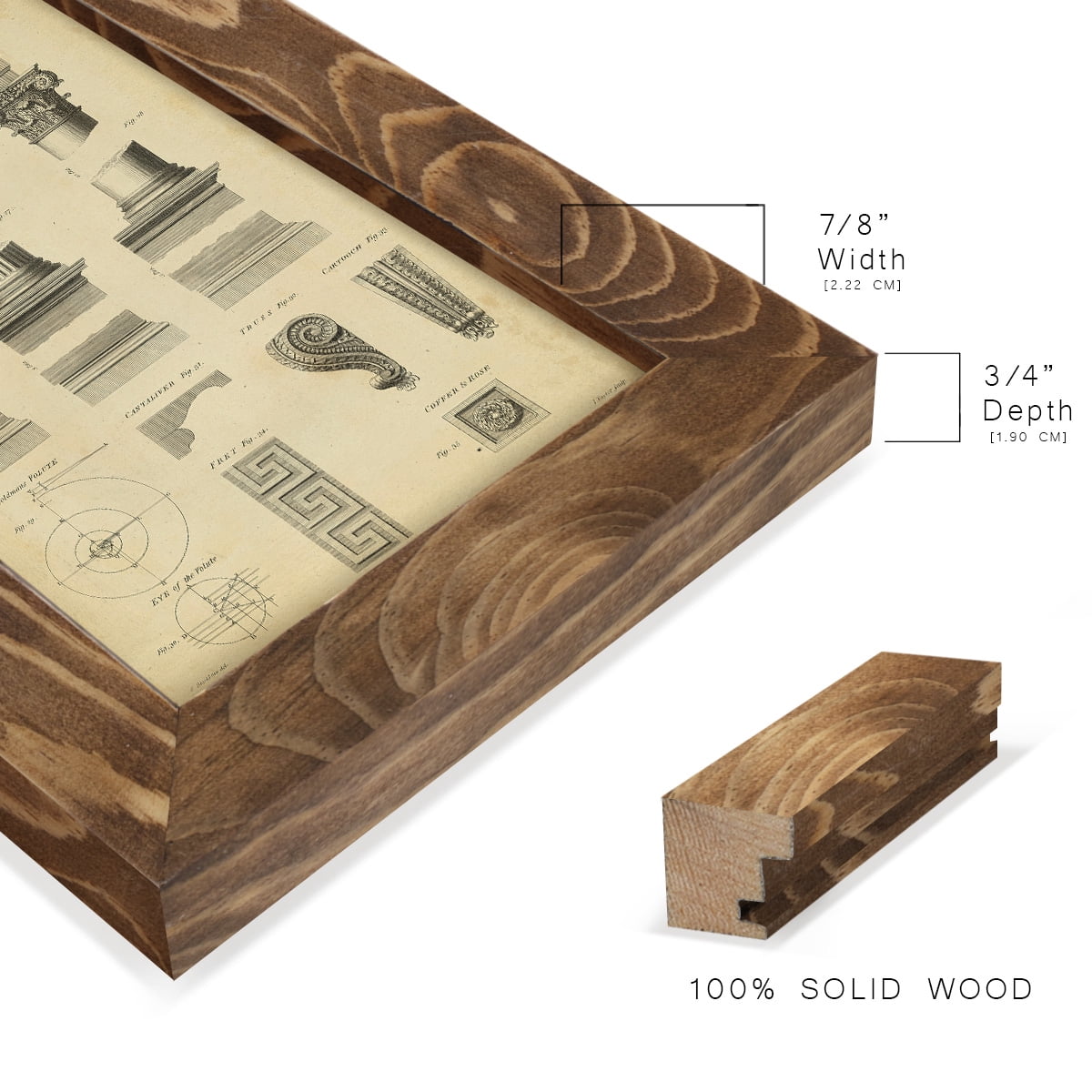 Encyclopediae III -Framed Print w/glass-Walnut
