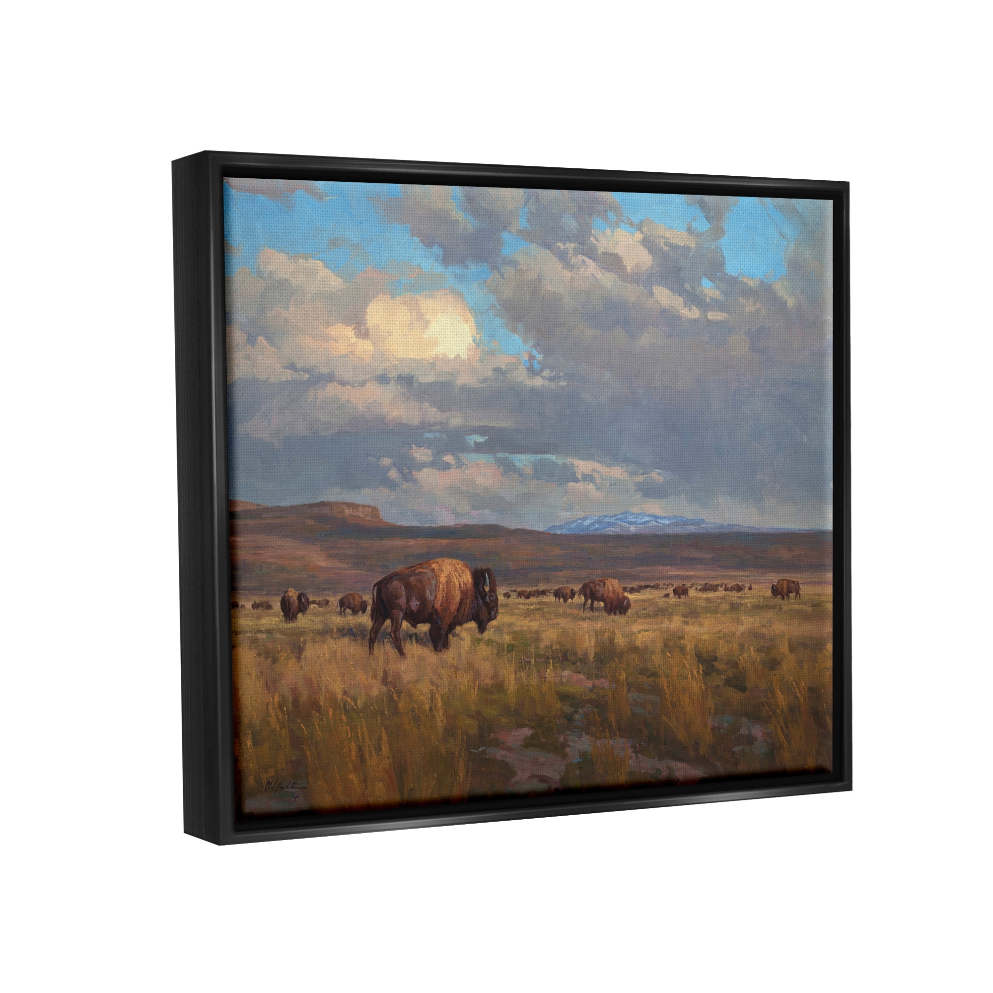 Stupell Industries Buffalo Cloudy Landscape Landscape Painting Black Floater Framed Canvas Art Print Wall Art, 31 x 25