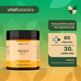 thumbnail image 4 of VitalBotanics | Active Circulation |Suplemento con Jengibre, Ajo, Cúrcuma, Vitamina C, Omega 3, 6 y 9 Semilla de Uva |Multivitamínico VITALBOTANICS ACTV_CRCLATION_60, 4 of 8