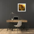 thumbnail image 3 of Nawrocke, Bruce 20x20 White Modern Wood Framed Museum Art Print Titled - Garden Bike, 3 of 4