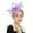 Purple, variant on Certgust Hot Sales Head Scarf for Women 's Hair Under$10 Fascinators Hats for Women - Tea Party Kentucky Hat Derby Headband Elegant Wedding Party Bride Hat with Hair Clip