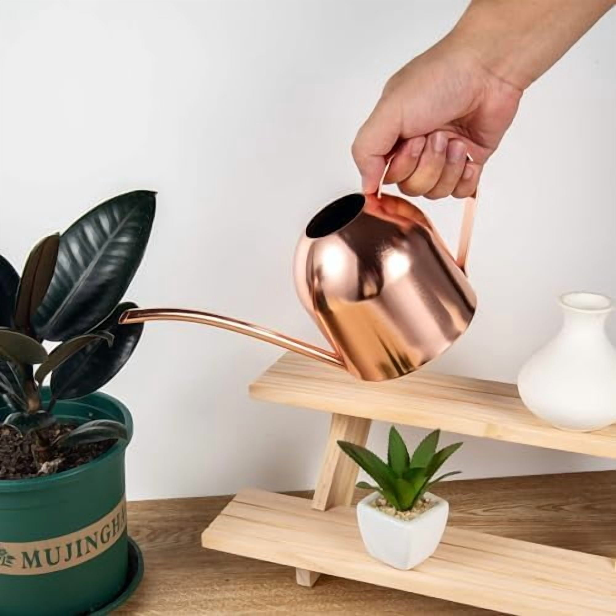 Indoor Watering Can for House Plants 33oz/1L Stainless Steel Watering Can with Long Spout (Rose Gold)