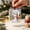 Snow Day Cash, variant on Homellea Christmas Cash Gift Holder Ornament with Cabin Cash Design, Clear Acrylic Money Holder with Rolled Bill Tube, Holiday Cash Gift Presentation, Seasonal Gift Exchange, 3.94 Inch