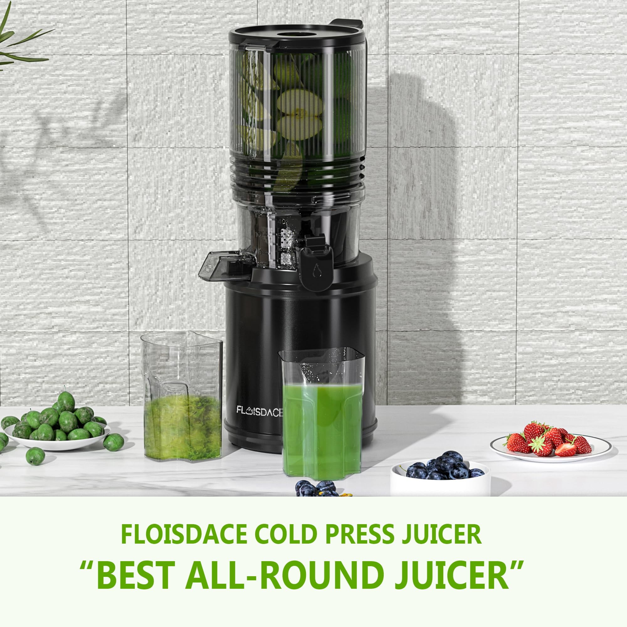 Cofiyard Cold Press Juicer Machine, Professional Slow Masticating Juicer, 6.5" Extra Wide Feed Chute, 351W Powerful AC Brushless Motor, for Whole Fruit and Vegetables, Silver