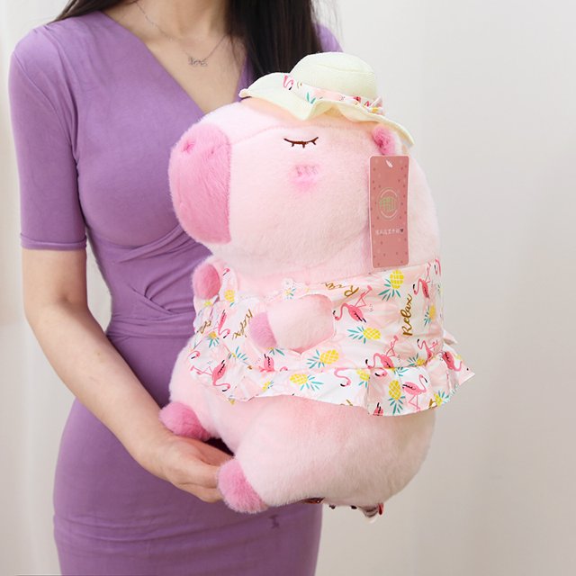 Poupée Capybara Véritable Poupée Jouet en Peluche Oreiller Cadeau d'Anniversaire Célébrité Internet Ragdoll DMH