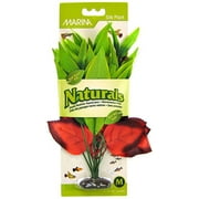 Marina Naturals Red/Green Pickerel Silk Plant, Medium