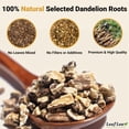 thumbnail image 3 of Té de raíz de diente de león LeafLea, 40 sobres, sin cafeína, 3 of 9