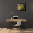 thumbnail image 4 of Heighton, Brent 23x20 Black Modern Framed Museum Art Print Titled - Pond Iris, 4 of 5