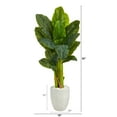 thumbnail image 2 of Nearly Natural 52" Triple Stalk Artificial Banana Tree in White Planter (Real Touch), 2 of 3