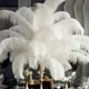 thumbnail image 4 of XunYee 60 Plumas Grandes de Avestruz Blancas 45-50 cm, 4 of 6
