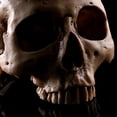 thumbnail image 4 of 2x Resina Cráneo Maceta Estatua Maceta Maceta Escritorio Decoraciones Halloween Sharpla Modelo de resina Cráneo humano, 4 of 8