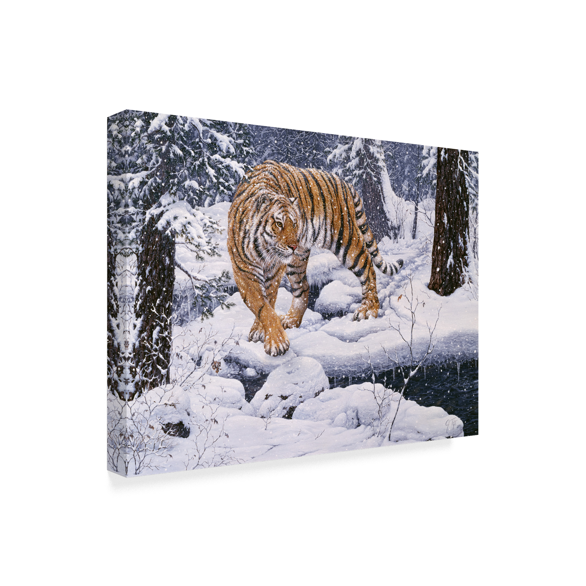 Trademark Fine Art 'Silent Hunter Siberian Tiger' Canvas Art by Jeff Tift