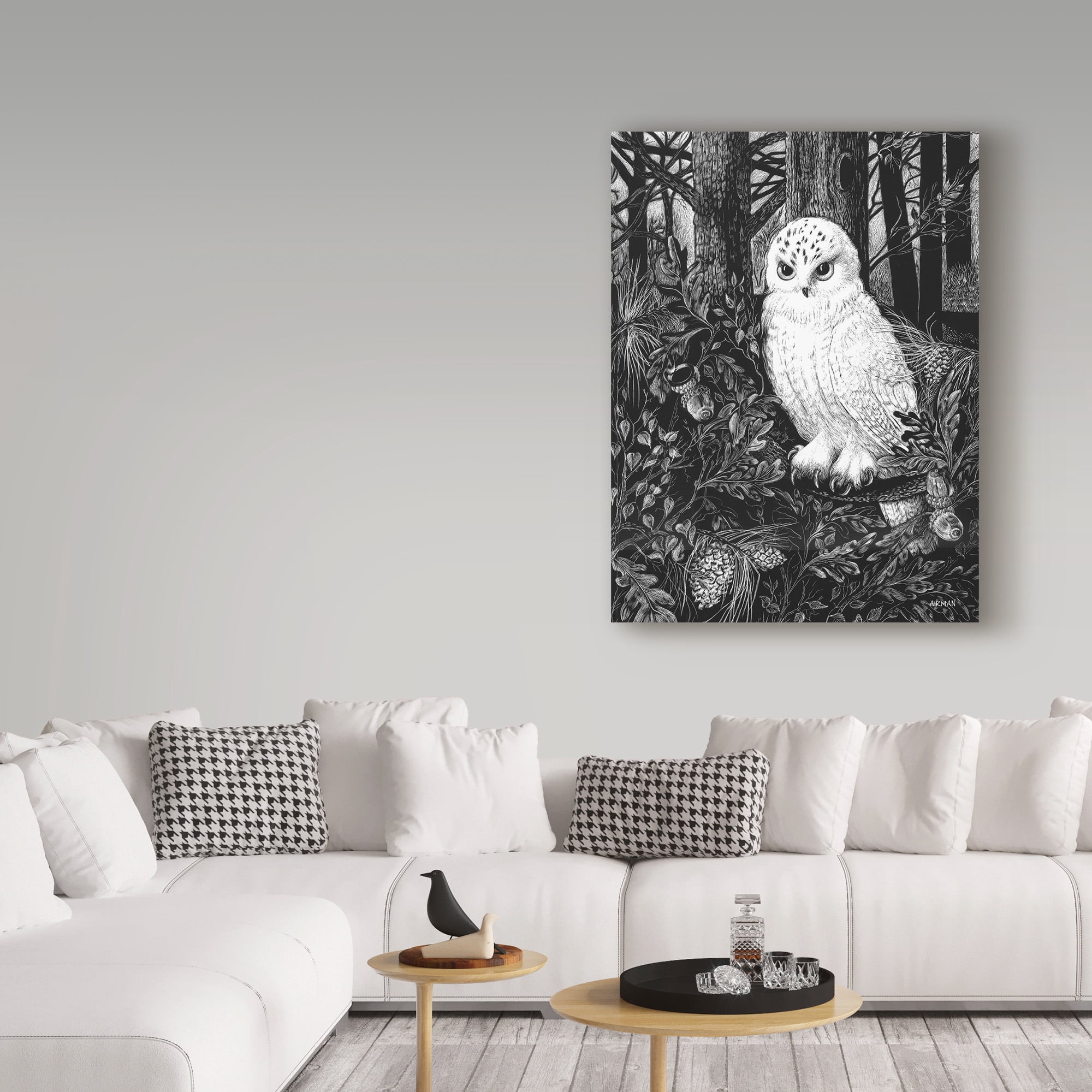 Trademark Fine Art 'Owl White' Canvas Art by Geraldine Aikman