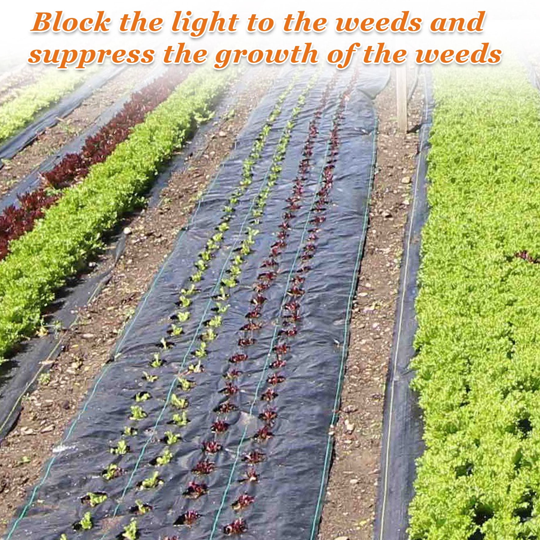 Strong Camel Garden Weed Barrier Landscape Fabric Durable Heavy-Duty Weed Block Gardening Mat (4'x100')