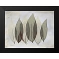 thumbnail image 2 of Koetsier, Albert 18x15 Black Modern Framed Museum Art Print Titled - Coculus Leaf L348, 2 of 5