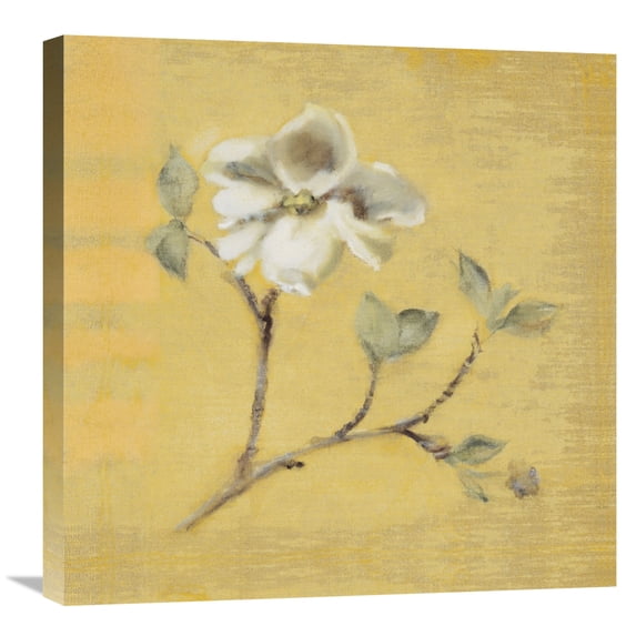 Global Gallery Cheri Blum 'Dogwood Blossom on Gold' Canvas Wall Art