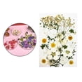thumbnail image 5 of Real Dried Press Flowers Dried Press Leaves Handmade Flower Candle Making Flowers Press for Jewelry Making White, 5 of 10
