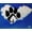 Black, variant on Dog in Paw Print~ Decal, Choose from Lab, Boxer, Schnauzer, Beagle, Yorkie, Poodle, Pug, or Pit. 6" x 6" (Black Schnauzer)