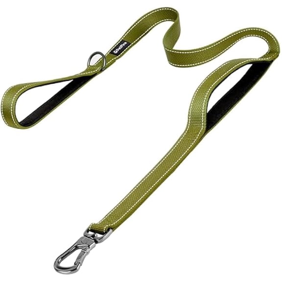 Eryueer 6FT Heavy Duty Dog Leash with Soft Padded Double Handle, Durable Strong Clasp Dog Leashes, Reflective Nylon Walking Lead for Large,Medium,Small Breed Dogs, Green