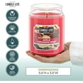 thumbnail image 3 of czcpp-Candle-LITE Scented Candles, Apple Cinnamon Crisp Fragrance, One 18 oz. Single-Wick Aromatherapy Candle with 110 Hours of Burn Time, Red Color (Individual Box), 3 of 4