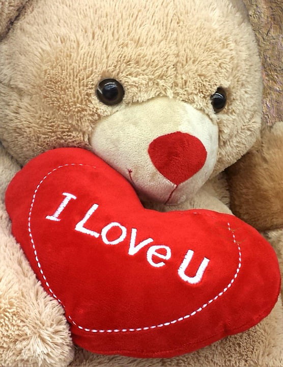 i love you teddy bear walmart