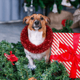 thumbnail image 2 of Christmas Tinsel Garland Holiday Home Display Wall Hanging Door Mantel Indoor Outdoor Winter Party Family Friends Seasonal Decoration, 78.7 inch 3-Piece A76, 2 of 5