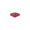 Corral Ball Pool in Multicolor