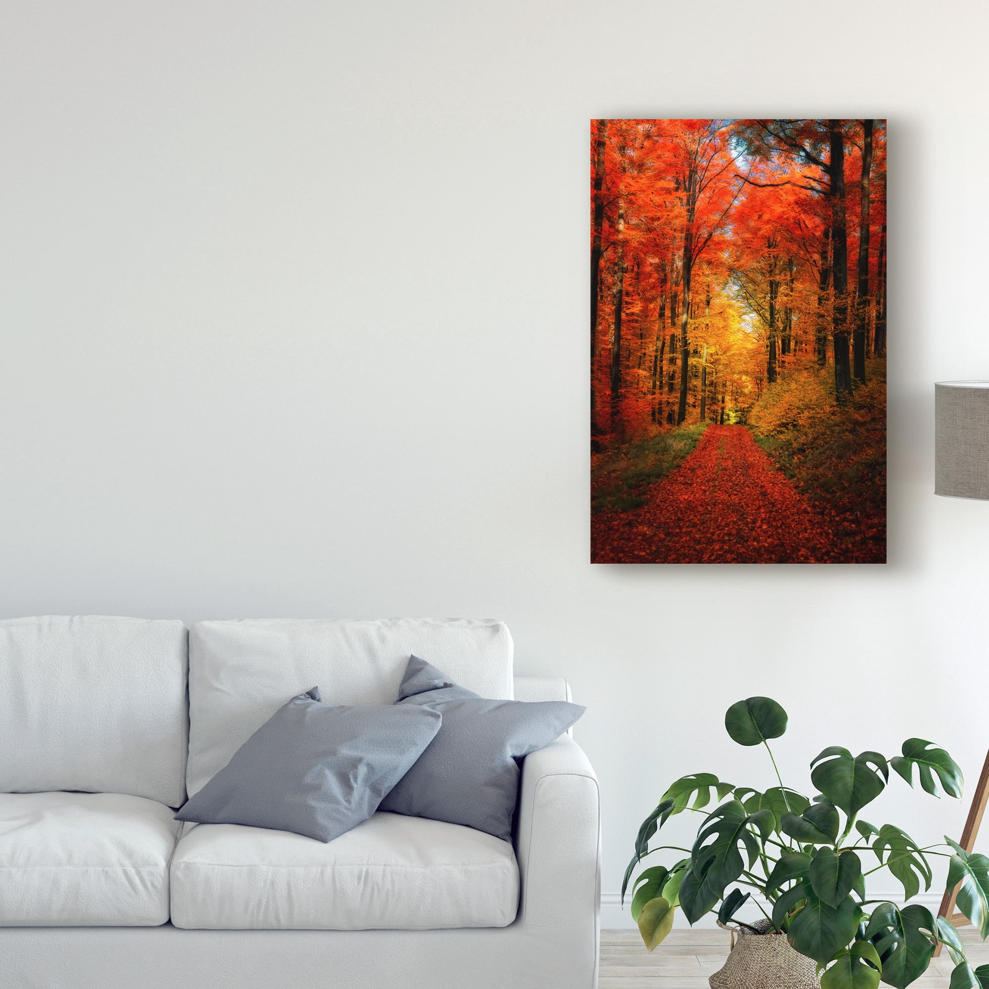 Philippe Sainte-Laudy 'Forest Garden' Canvas Art