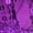 Purple, variant on Women's Belly Dance Sequin Bra Tassel Clothing Tops for Performance and Stage Shows Green