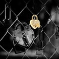 thumbnail image 4 of Miangastore 2Pcs Rhinestones Padlock Small Heart Shaped Metal Padlocks Decorative Lock with Keys, 4 of 8