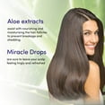 thumbnail image 4 of KALEIDOSCOPE MIRACLE DROPS Tea Tree Leaf, Peppermint & Aloe Hair Oil, 2 fl oz, Travel Size, 4 of 10