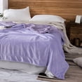 thumbnail image 4 of Manta cálida de felpa de 2 capas, franela súper suave, imitación de cachemira, cama, sofá, manta, púrpura Eigraketly LF000018-04B, 4 of 7