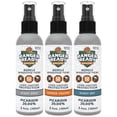 thumbnail image 1 of Repelente de insectos Ranger Ready Picaridin 20% en aerosol para garrapatas, 100 ml, 1 of 7