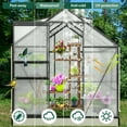 thumbnail image 4 of EAGLE PEAK 6 Ft. W x 6 Ft. D x 7 Ft. H Polycarbonate Walk-in Hobby Greenhouse Aluminum Framed Green House, 4 of 10
