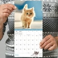 thumbnail image 5 of TF Publishing 2026 Kittens Mini Calendar - Gloss Paper, 5 of 5
