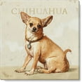 thumbnail image 1 of Sullivans Darren Gygi Chihuahua Canvas, Museum Quality Giclee Print, Gallery Wrapped, Handcrafted in USA 5"W x 5"L Multicolored, 1 of 2