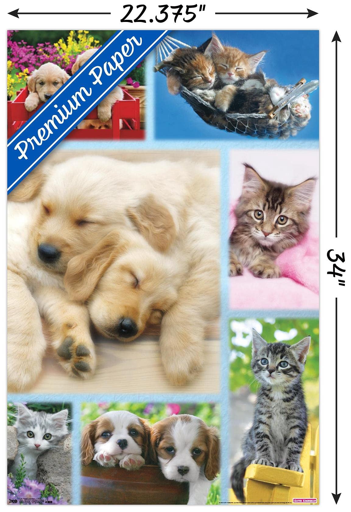 Keith Kimberlin - Puppies and Kittens Collage Wall Poster, 22.375" x 34"