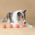 thumbnail image 4 of Harry Barker Durable All-Natural Rubber Balls for Dogs, 2.5" Rubber Balls, Orange, 6 Pack Set, 4 of 7