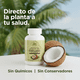 thumbnail image 2 of Cápsulas softgel de 500 mg de aceite de orégano y aceite de coco ORE 100pz| suplemento natural inmunológico antimicrobiano, antifungioco digestivo | frasco con cápsulas blandas, 2 of 4
