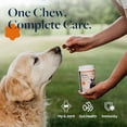 thumbnail image 4 of Veterinary Formula Senior Support Supplement for Dogs, Smart Vitality for Joint, Digestion, and Immune Health, 60 Chews, 4 of 9
