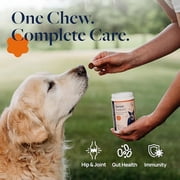 Veterinary Formula Senior Support Supplement for Dogs, Smart Vitality for Joint, Digestion, and Immune Health, 60 Chews