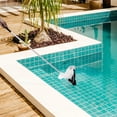 thumbnail image 1 of FENGGUIQU Swimming Pool Vacuum Head Cleaner 1 Set for Commercial Users Black, 1 of 6