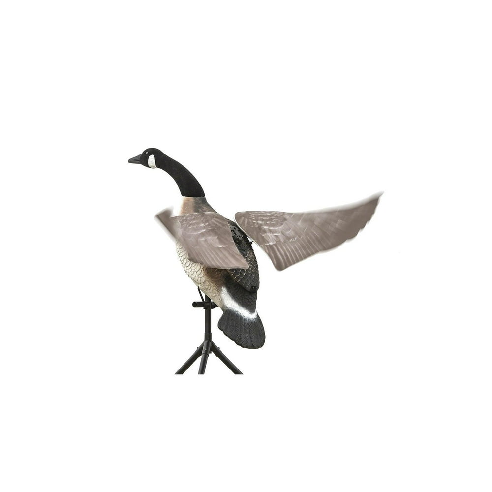 Lucky Duck Lucky Flapper Canada Goose Decoy