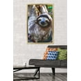 thumbnail image 2 of Sloth - Smile Wall Poster, 22.375" x 34", Framed, 2 of 3
