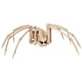 thumbnail image 2 of Skeleton Spider with Light-up Eyes Halloween Decoration, 2 of 2