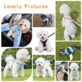 thumbnail image 6 of Miaocao Cute Plaid No Pull Dog Harness for Small Dogs Soft Mesh Small Dog Harness and Leash Set Easy Walk Step in Puppy Harness Vest Pet Cat Chihuahua Yorkie Shih Tzu Dog Harnesses (Blue,S), 6 of 7