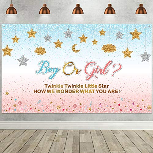 twinkle twinkle little star banner walmart