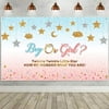 Pink and Blue Gender Reveal Decorations Girl or Boy Pregnancy Announcement Banner Gender Surprise Backdrop Background Twinkle Twinkle Little Star for Baby Shower, 72.8 x 43.3 Inch